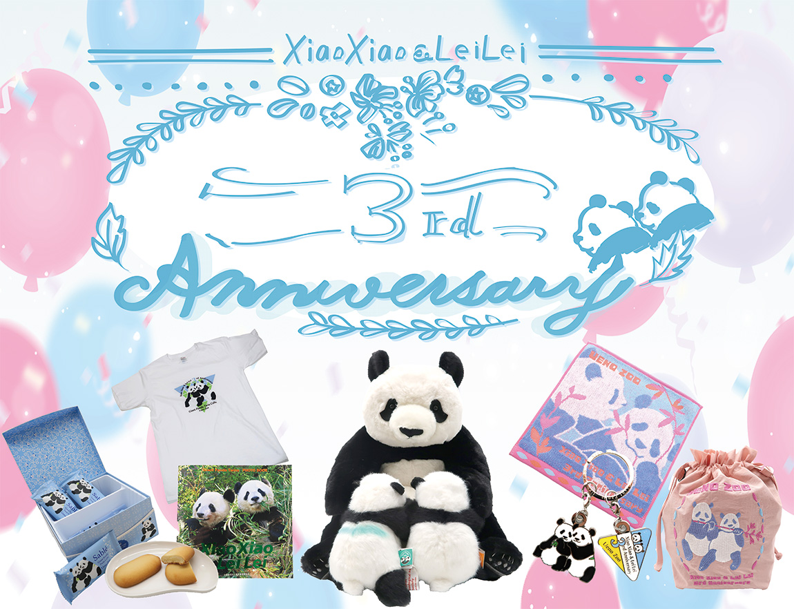 AAA 鑑み マフラータオル リストバンド ぬいぐるみ 写真セット販売