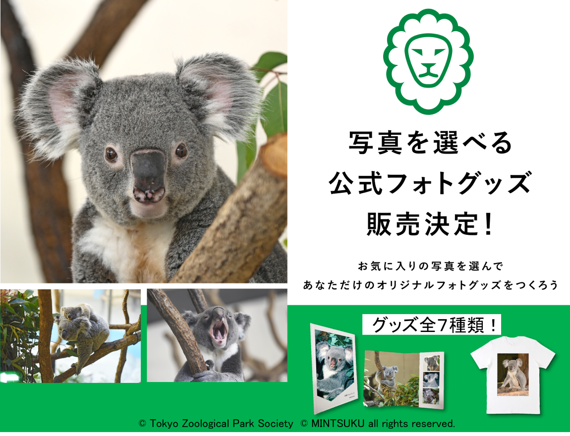 TOKYO ZOO SHOP｜都立動物園公式オンラインショップ