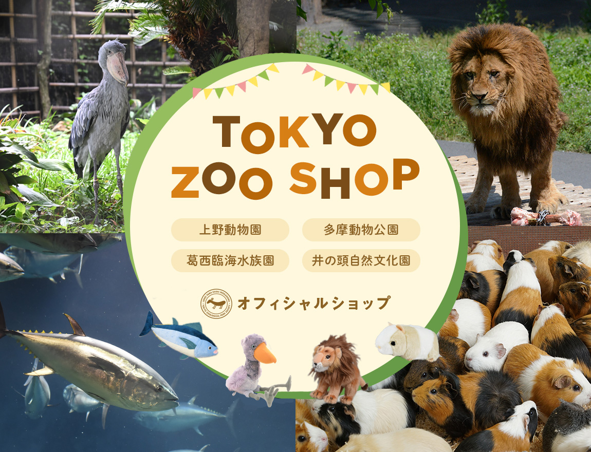 TOKYO ZOO SHOP｜都立動物園公式オンラインショップ