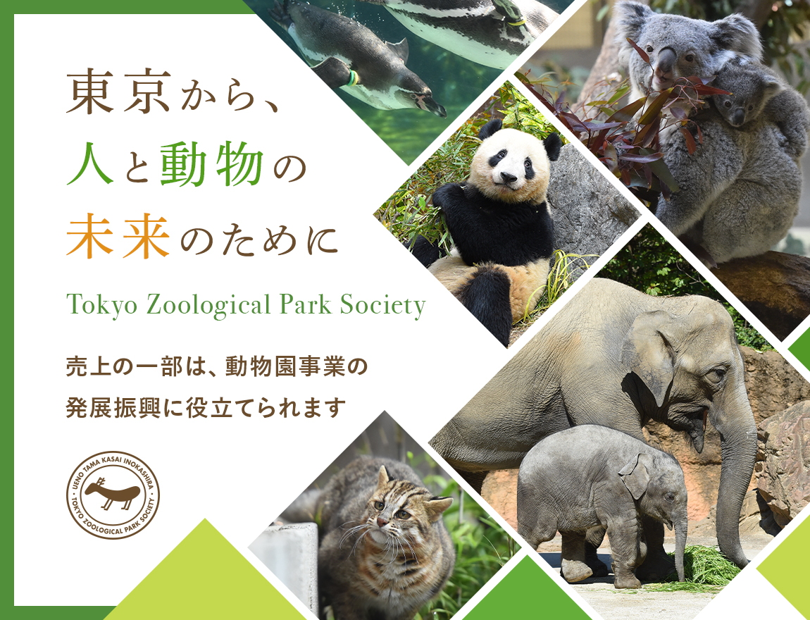 TOKYO ZOO SHOP｜都立動物園公式オンラインショップ