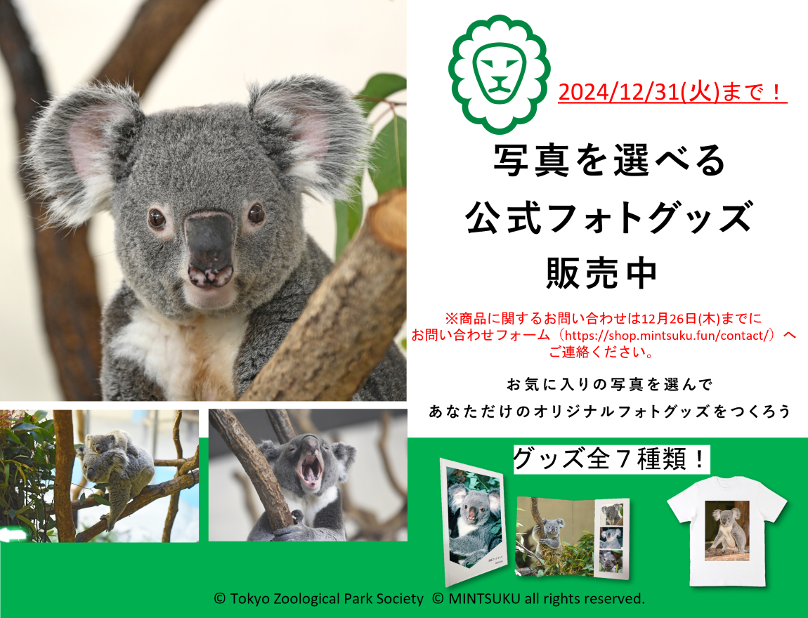 TOKYO ZOO SHOP｜都立動物園公式オンラインショップ