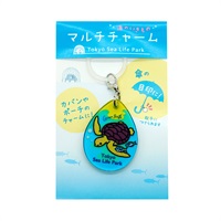 マルチチャーム アオウミガメ