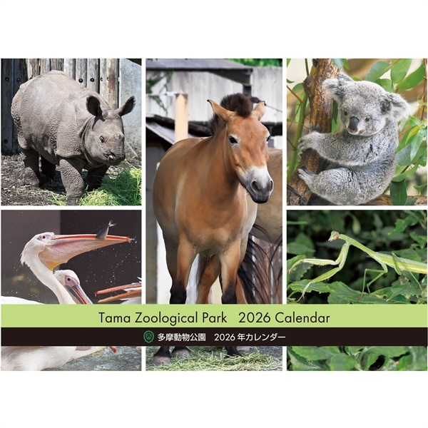 2026年カレンダー  多摩動物公園