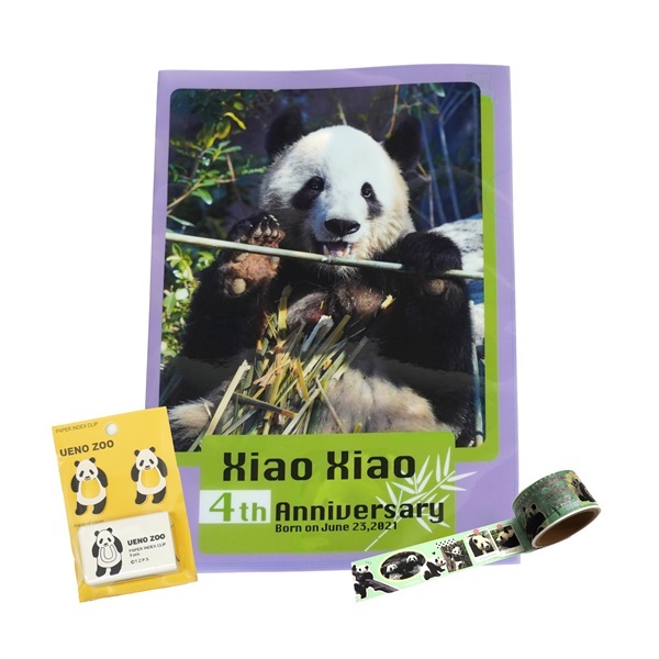 文具セット　ジャイアントパンダ