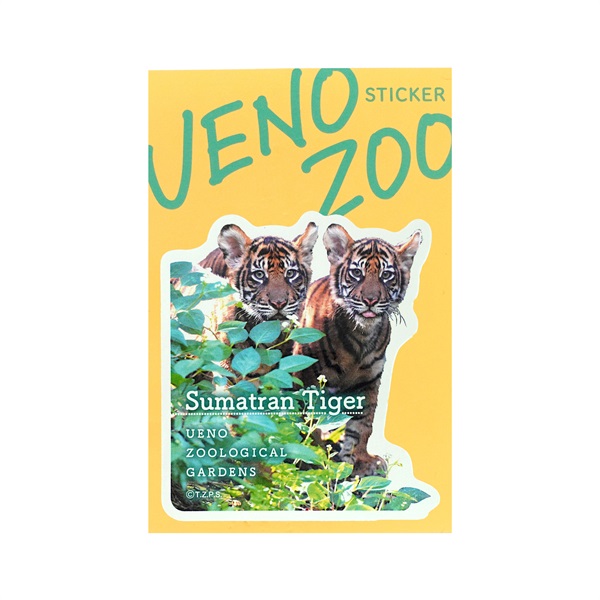 ステッカー スマトラトラの子ども